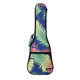 CloudMusic Ukulele Case2016-20