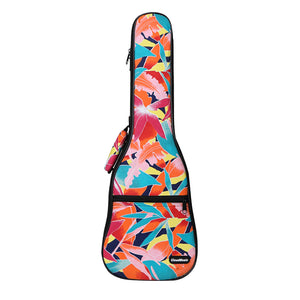 CloudMusic Ukulele Case2016-22