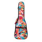 CloudMusic Ukulele Case2016-22