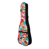 CloudMusic Ukulele Case2016-22