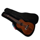 CloudMusic Ukulele Case2016-23