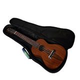 CloudMusic Ukulele Case2016-20