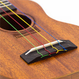 Ukulele For Kids Program