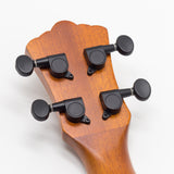 Ukulele For Kids Program