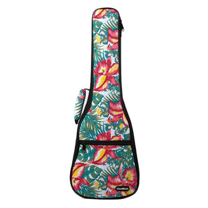 CloudMusic Ukulele Case2016-13