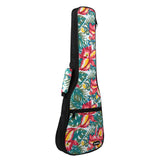 CloudMusic Ukulele Case2016-13